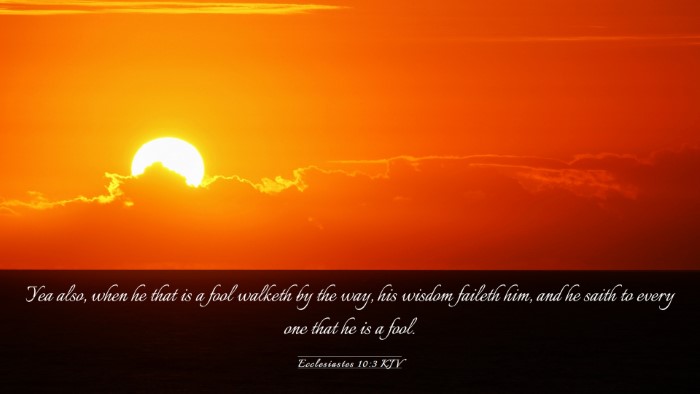 Picture 03 - Ecclesiastes 10:3 KJV Desktop Wallpaper - Yea also, when he that is a fool walketh by the - Desktop Bible Verse Wallpaper