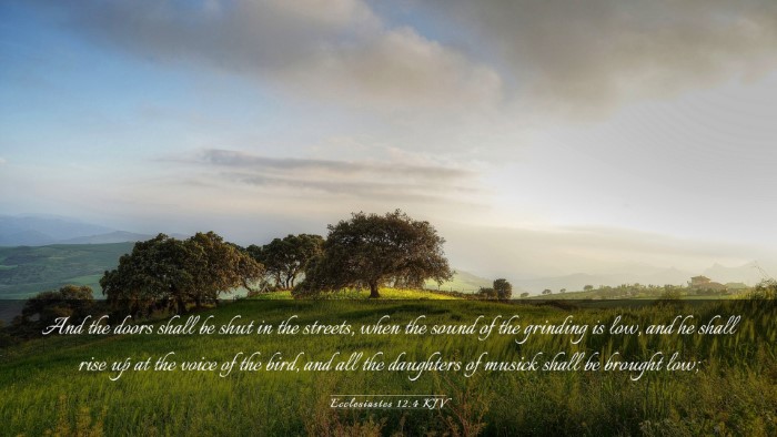 Picture 03 - Ecclesiastes 12:4 KJV Desktop Wallpaper - And the doors shall be shut in the streets, when - Desktop Bible Verse Wallpaper