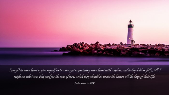 Picture 03 - Ecclesiastes 2:3 KJV Desktop Wallpaper - I sought in mine heart to give myself unto wine, - Desktop Bible Verse Wallpaper