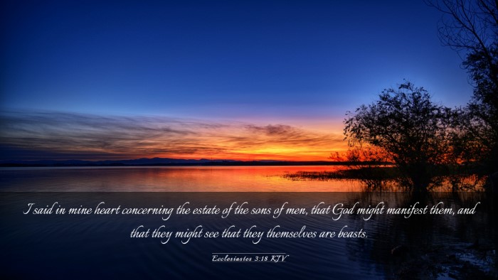 Picture 03 - Ecclesiastes 3:18 KJV Desktop Wallpaper - I said in mine heart concerning the estate of the - Desktop Bible Verse Wallpaper