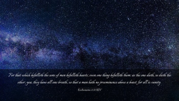 Picture 03 - Ecclesiastes 3:19 KJV Desktop Wallpaper - For that which befalleth the sons of men - Desktop Bible Verse Wallpaper