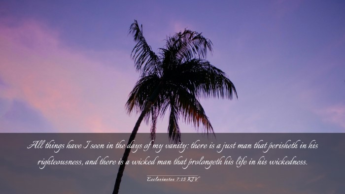 Picture 03 - Ecclesiastes 7:15 KJV Desktop Wallpaper - All things have I seen in the days of my vanity: - Desktop Bible Verse Wallpaper