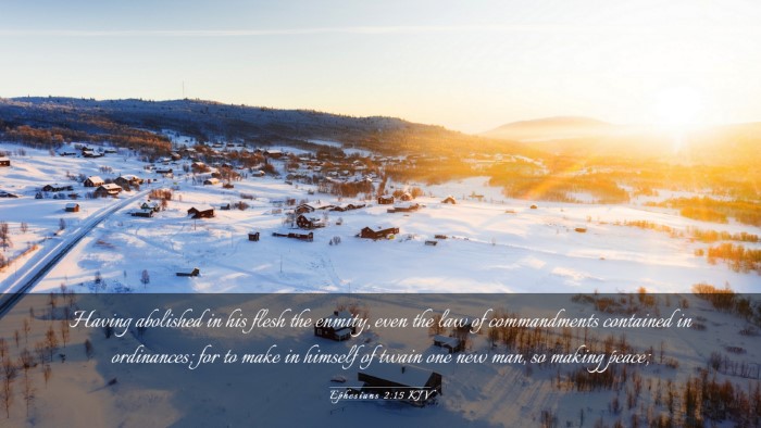 Picture 03 - Ephesians 2:15 KJV Desktop Wallpaper - Having abolished in his flesh the enmity, even - Desktop Bible Verse Wallpaper