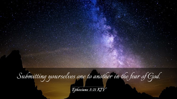 Picture 03 - Ephesians 5:21 KJV Desktop Wallpaper - Submitting yourselves one to another in the fear - Desktop Bible Verse Wallpaper