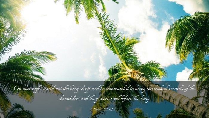 Picture 03 - Esther 6:1 KJV Desktop Wallpaper - On that night could not the king sleep, and he - Desktop Bible Verse Wallpaper