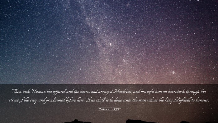 Picture 03 - Esther 6:11 KJV Desktop Wallpaper - Then took Haman the apparel and the horse, and - Desktop Bible Verse Wallpaper
