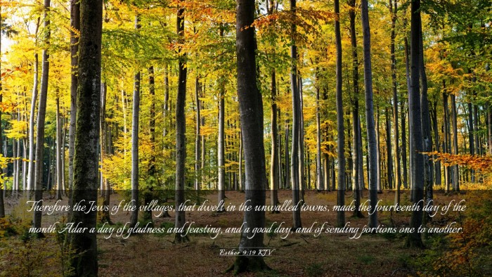 Picture 03 - Esther 9:19 KJV Desktop Wallpaper - Therefore the Jews of the villages, that dwelt in - Desktop Bible Verse Wallpaper