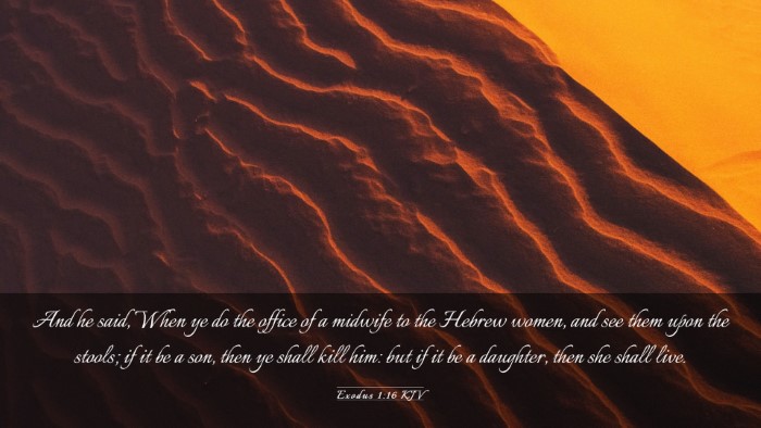 Picture 03 - Exodus 1:16 KJV Desktop Wallpaper - And he said, When ye do the office of a midwife - Desktop Bible Verse Wallpaper