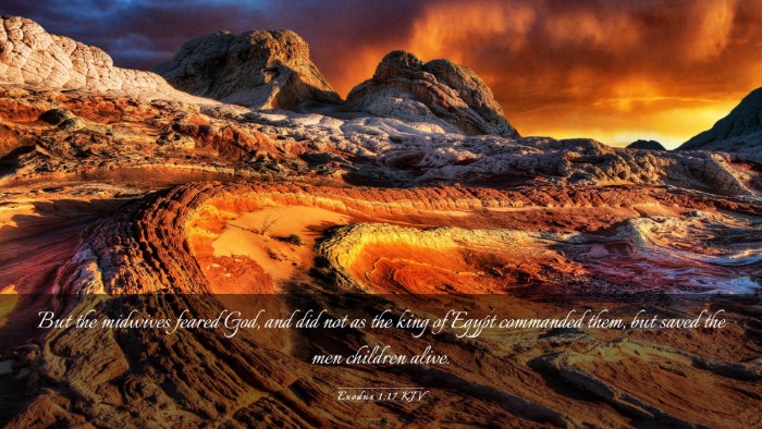 Picture 03 - Exodus 1:17 KJV Desktop Wallpaper - But the midwives feared God, and did not as the - Desktop Bible Verse Wallpaper