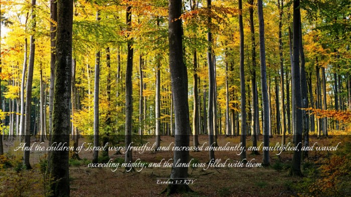 Picture 03 - Exodus 1:7 KJV Desktop Wallpaper - And the children of Israel were fruitful, and - Desktop Bible Verse Wallpaper
