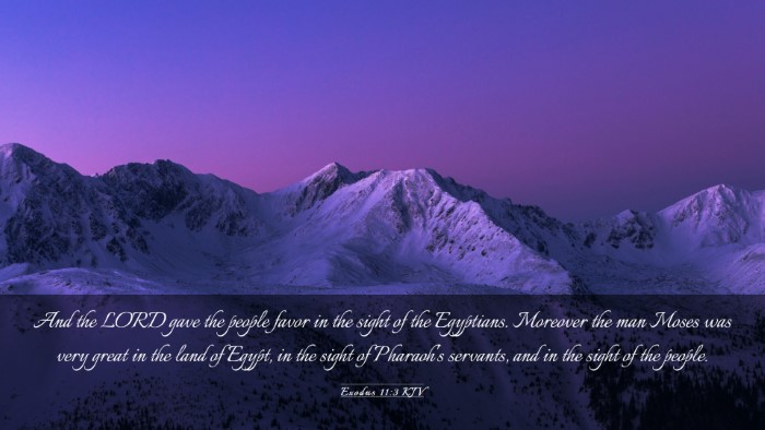 Picture 03 - Exodus 11:3 KJV Desktop Wallpaper - And the LORD gave the people favor in the sight - Desktop Bible Verse Wallpaper