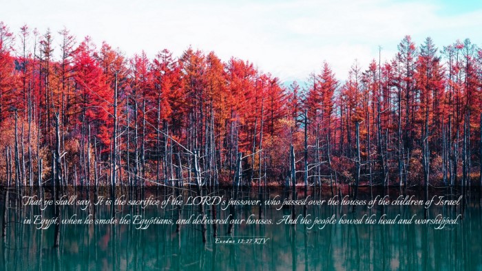 Picture 03 - Exodus 12:27 KJV Desktop Wallpaper - That ye shall say, It is the sacrifice of the - Desktop Bible Verse Wallpaper