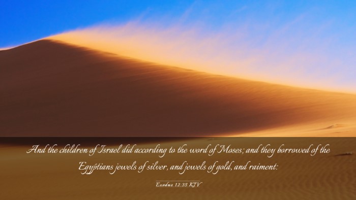 Picture 03 - Exodus 12:35 KJV Desktop Wallpaper - And the children of Israel did according to the - Desktop Bible Verse Wallpaper