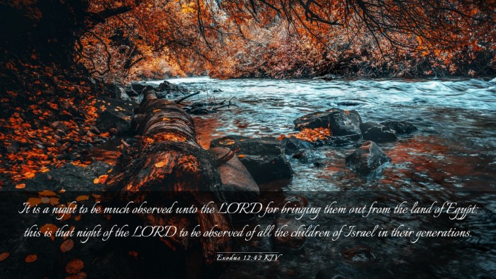 Picture 03 - Exodus 12:42 KJV Desktop Wallpaper - It is a night to be much observed unto the LORD - Desktop Bible Verse Wallpaper