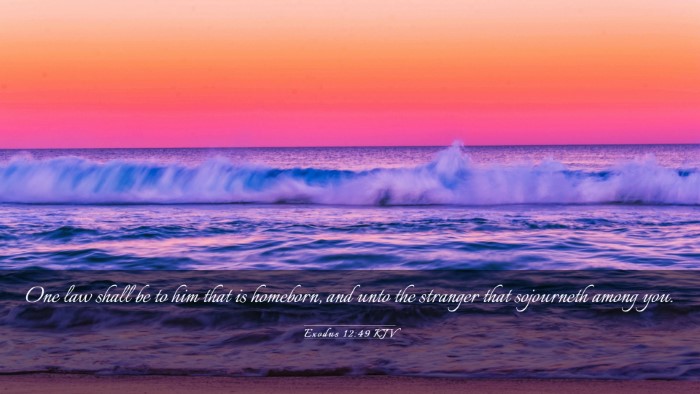 Picture 03 - Exodus 12:49 KJV Desktop Wallpaper - One law shall be to him that is homeborn, and - Desktop Bible Verse Wallpaper