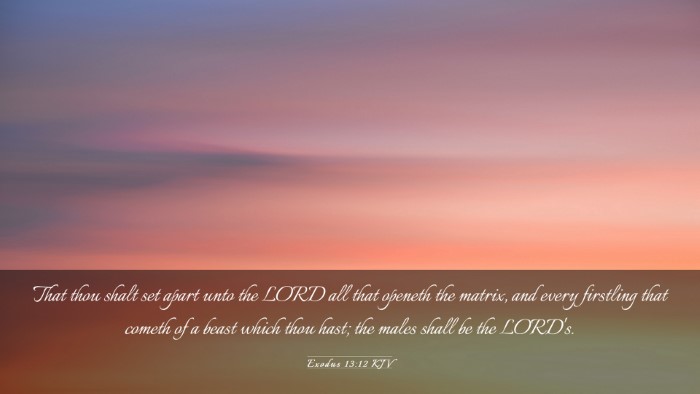 Picture 03 - Exodus 13:12 KJV Desktop Wallpaper - That thou shalt set apart unto the LORD all that - Desktop Bible Verse Wallpaper