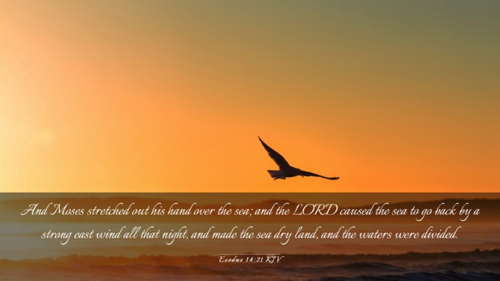 Picture 03 - Exodus 14:21 KJV Desktop Wallpaper - And Moses stretched out his hand over the sea; - Desktop Bible Verse Wallpaper