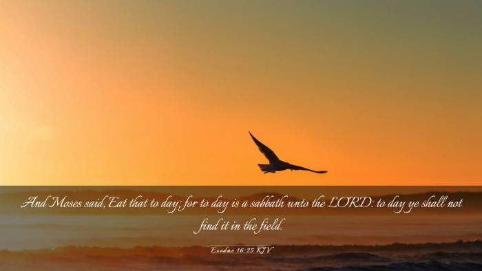 Picture 03 - Exodus 16:25 KJV Desktop Wallpaper - And Moses said, Eat that to day; for to day is a - Desktop Bible Verse Wallpaper