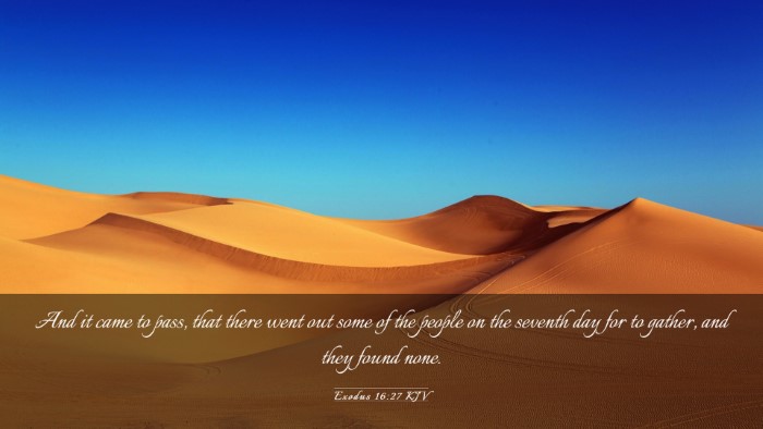 Picture 03 - Exodus 16:27 KJV Desktop Wallpaper - And it came to pass, that there went out some of - Desktop Bible Verse Wallpaper