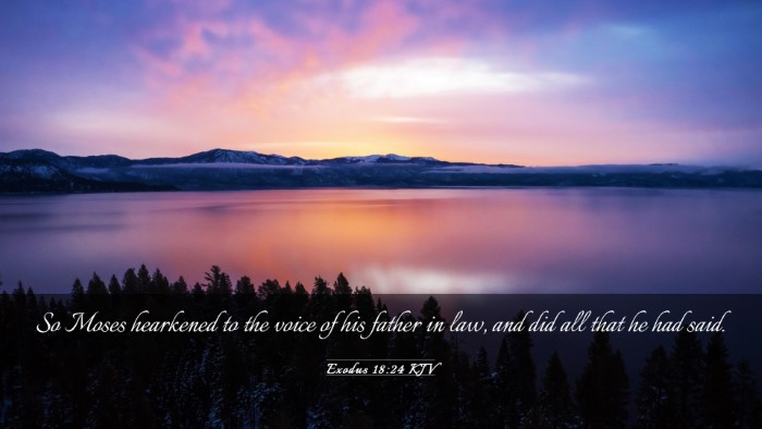 Picture 03 - Exodus 18:24 KJV Desktop Wallpaper - So Moses hearkened to the voice of his father in - Desktop Bible Verse Wallpaper