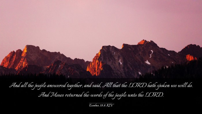Picture 03 - Exodus 19:8 KJV Desktop Wallpaper - And all the people answered together, and said, - Desktop Bible Verse Wallpaper