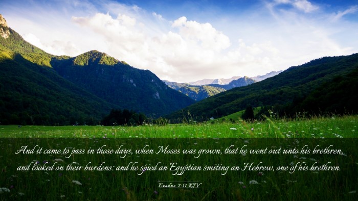 Picture 03 - Exodus 2:11 KJV Desktop Wallpaper - And it came to pass in those days, when Moses was - Desktop Bible Verse Wallpaper