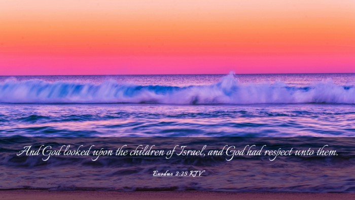 Picture 03 - Exodus 2:25 KJV Desktop Wallpaper - And God looked upon the children of Israel, and - Desktop Bible Verse Wallpaper