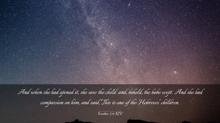 Picture 03 - Exodus 2:6 KJV Desktop Wallpaper - And when she had opened it, she saw the child: - Desktop Bible Verse Wallpaper