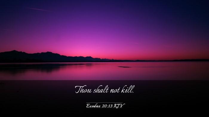Picture 03 - Exodus 20:13 KJV Desktop Wallpaper - Thou shalt not - Desktop Bible Verse Wallpaper