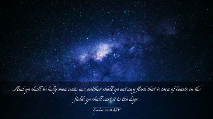 Picture 03 - Exodus 22:31 KJV Desktop Wallpaper - And ye shall be holy men unto me: neither shall - Desktop Bible Verse Wallpaper