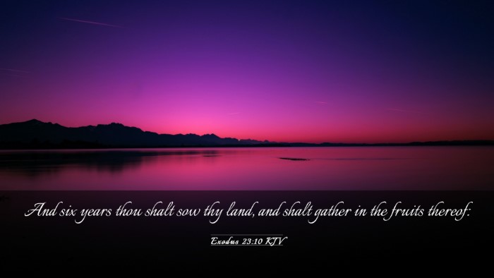 Picture 03 - Exodus 23:10 KJV Desktop Wallpaper - And six years thou shalt sow thy land, and shalt - Desktop Bible Verse Wallpaper