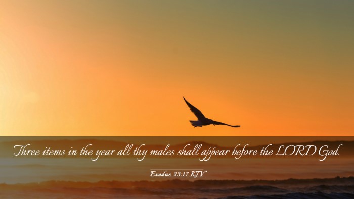 Picture 03 - Exodus 23:17 KJV Desktop Wallpaper - Three items in the year all thy males shall - Desktop Bible Verse Wallpaper