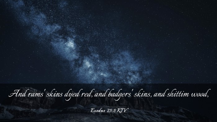 Picture 03 - Exodus 25:5 KJV Desktop Wallpaper - And rams' skins dyed red, and badgers' skins, and - Desktop Bible Verse Wallpaper