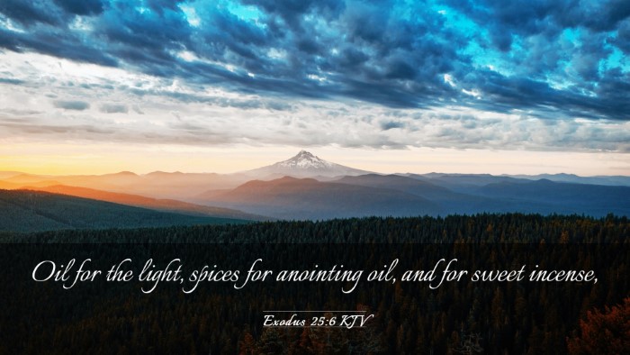 Picture 03 - Exodus 25:6 KJV Desktop Wallpaper - Oil for the light, spices for anointing oil, and - Desktop Bible Verse Wallpaper