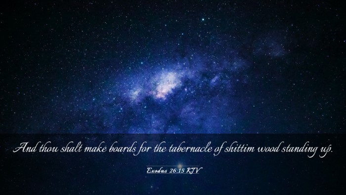 Picture 03 - Exodus 26:15 KJV Desktop Wallpaper - And thou shalt make boards for the tabernacle of - Desktop Bible Verse Wallpaper