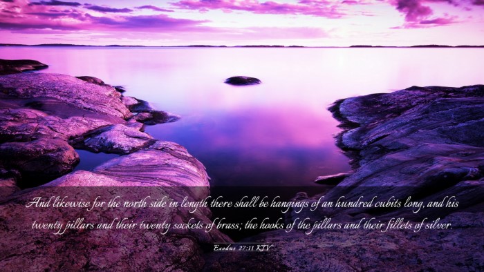 Picture 03 - Exodus 27:11 KJV Desktop Wallpaper - And likewise for the north side in length there - Desktop Bible Verse Wallpaper