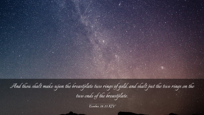 Picture 03 - Exodus 28:23 KJV Desktop Wallpaper - And thou shalt make upon the breastplate two - Desktop Bible Verse Wallpaper