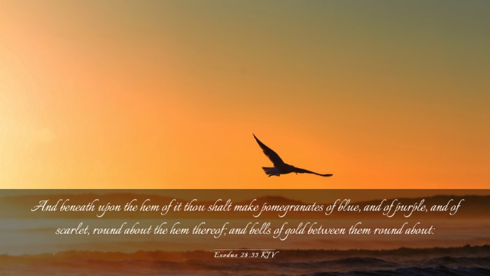 Picture 03 - Exodus 28:33 KJV Desktop Wallpaper - And beneath upon the hem of it thou shalt make - Desktop Bible Verse Wallpaper