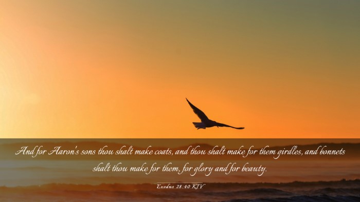 Picture 03 - Exodus 28:40 KJV Desktop Wallpaper - And for Aaron's sons thou shalt make coats, and - Desktop Bible Verse Wallpaper
