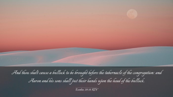 Picture 03 - Exodus 29:10 KJV Desktop Wallpaper - And thou shalt cause a bullock to be brought - Desktop Bible Verse Wallpaper