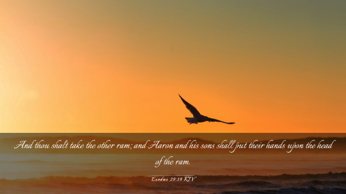 Picture 03 - Exodus 29:19 KJV Desktop Wallpaper - And thou shalt take the other ram; and Aaron and - Desktop Bible Verse Wallpaper