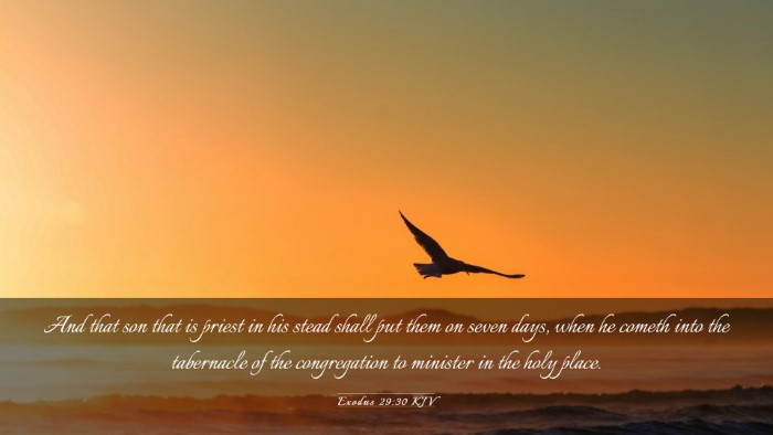 Picture 03 - Exodus 29:30 KJV Desktop Wallpaper - And that son that is priest in his stead shall - Desktop Bible Verse Wallpaper