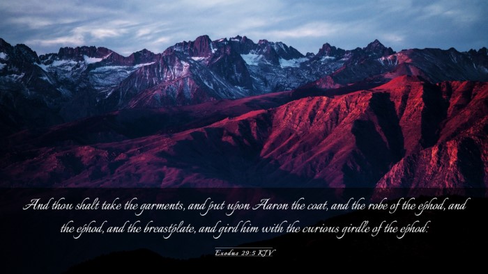 Picture 03 - Exodus 29:5 KJV Desktop Wallpaper - And thou shalt take the garments, and put upon - Desktop Bible Verse Wallpaper