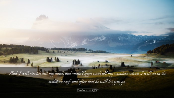 Picture 03 - Exodus 3:20 KJV Desktop Wallpaper - And I will stretch out my hand, and smite Egypt - Desktop Bible Verse Wallpaper