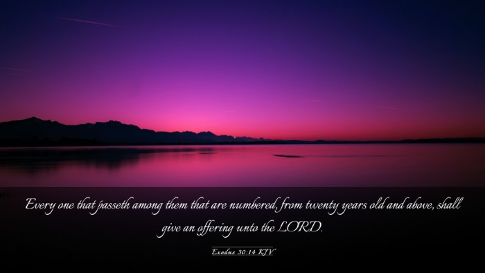Picture 03 - Exodus 30:14 KJV Desktop Wallpaper - Every one that passeth among them that are - Desktop Bible Verse Wallpaper