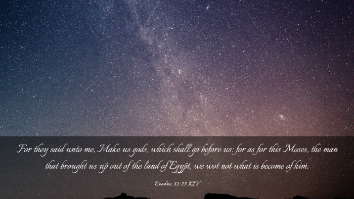 Picture 03 - Exodus 32:23 KJV Desktop Wallpaper - For they said unto me, Make us gods, which shall - Desktop Bible Verse Wallpaper