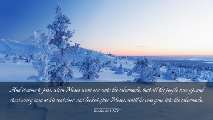 Picture 03 - Exodus 33:8 KJV Desktop Wallpaper - And it came to pass, when Moses went out unto the - Desktop Bible Verse Wallpaper