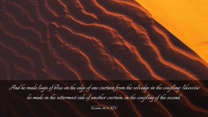 Picture 03 - Exodus 36:11 KJV Desktop Wallpaper - And he made loops of blue on the edge of one - Desktop Bible Verse Wallpaper