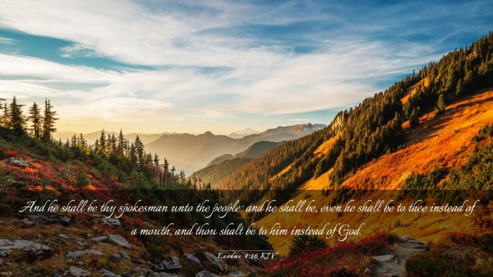 Picture 03 - Exodus 4:16 KJV Desktop Wallpaper - And he shall be thy spokesman unto the people: - Desktop Bible Verse Wallpaper