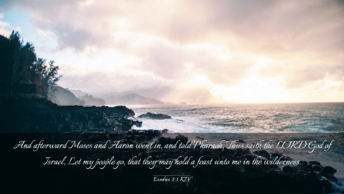 Picture 03 - Exodus 5:1 KJV Desktop Wallpaper - And afterward Moses and Aaron went in, and told - Desktop Bible Verse Wallpaper